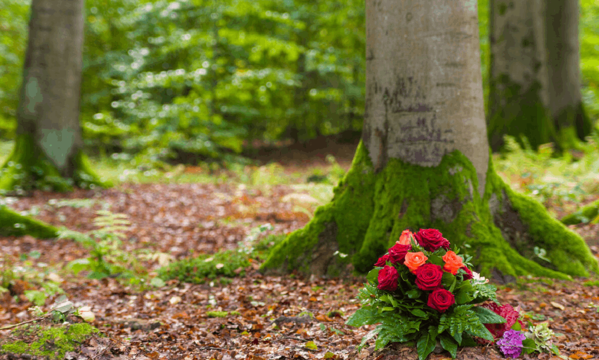 Graveside Services: A Simple and Meaningful Goodbye A bouquet of red and orange roses placed at the base of a moss-covered tree in a peaceful forest setting.